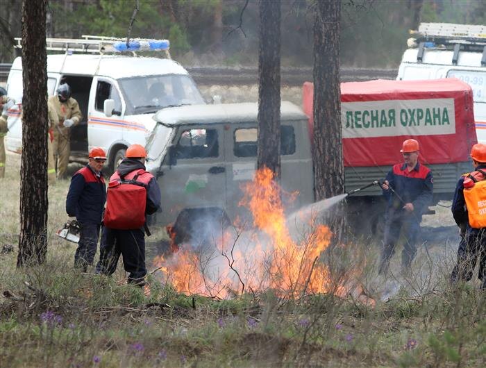    ФОТО: Министерство природных ресурсов и экологии Самарской области