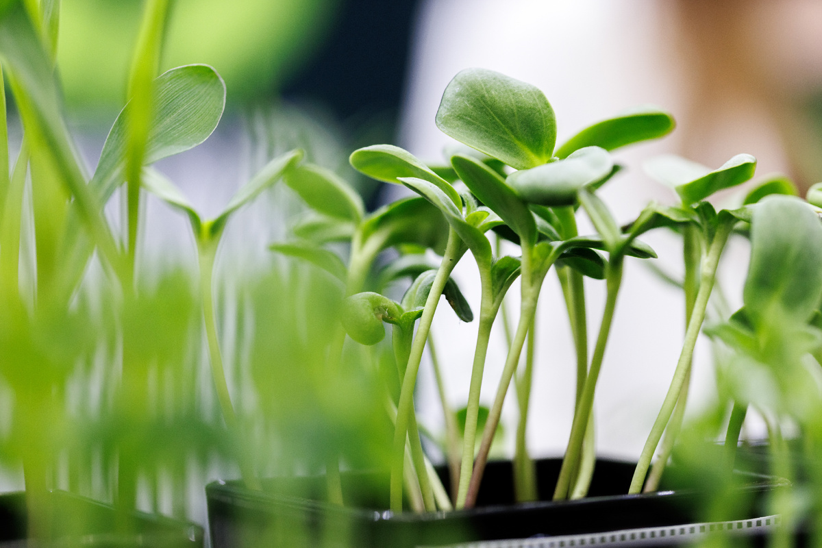 Фото: © Sergey Elagin/ Business Online/ Global Look Press