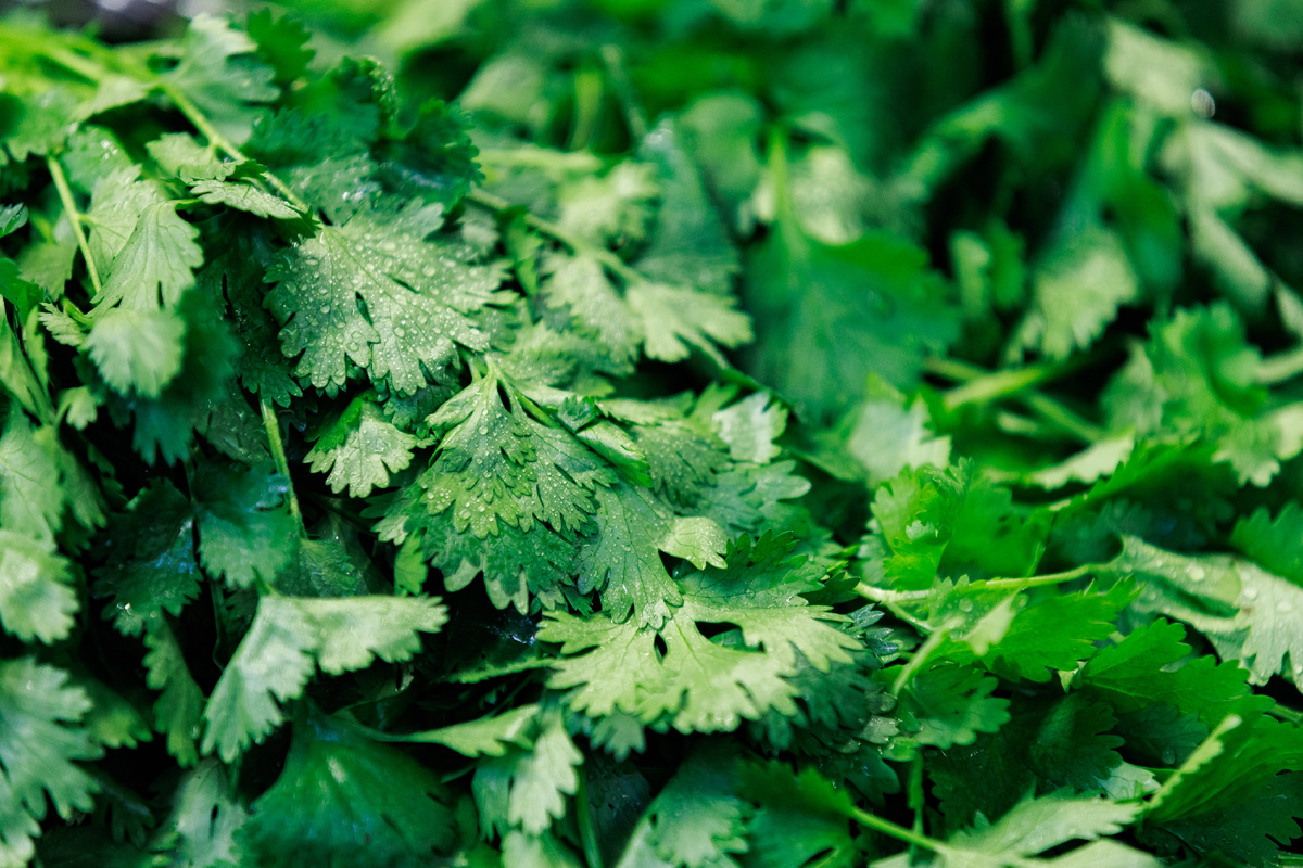 Фото: © Sergey Elagin/ Business Online/ Global Look Press