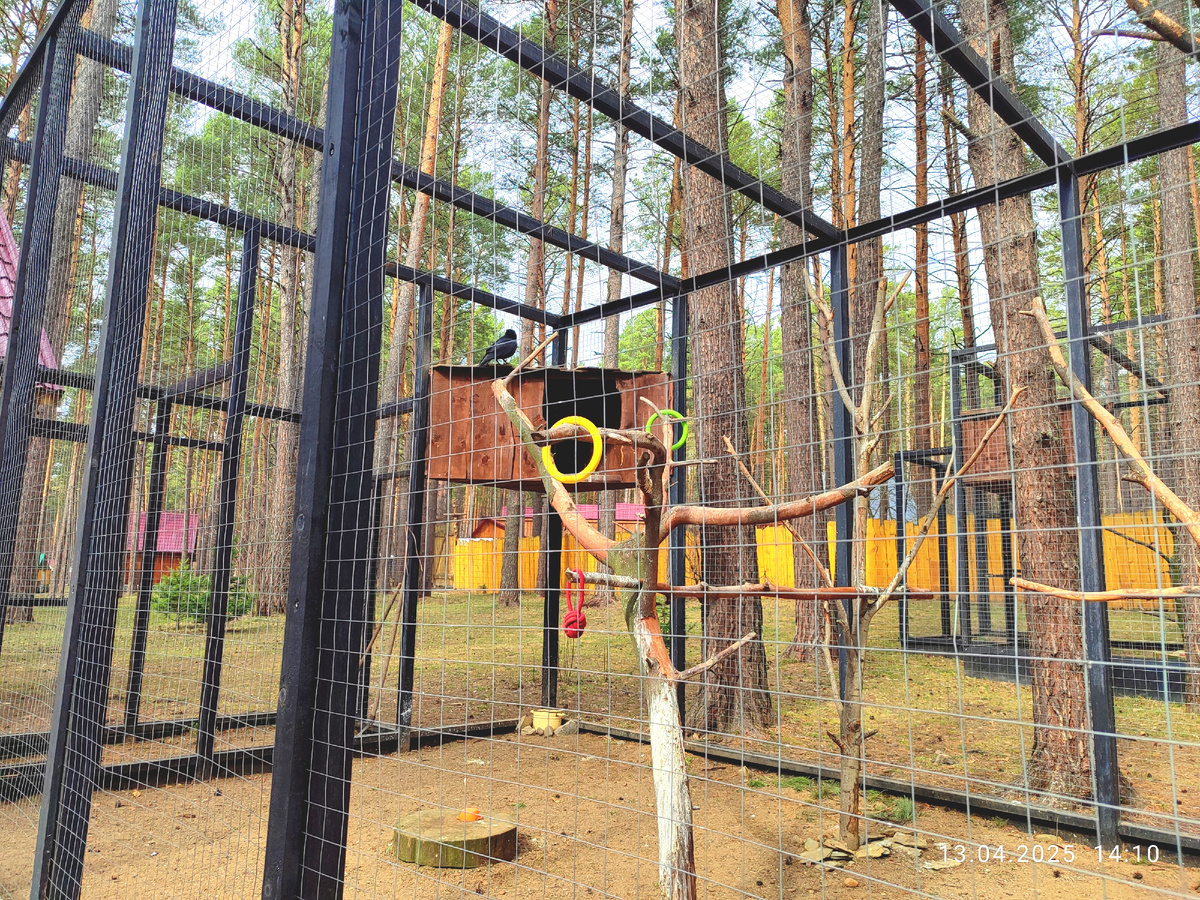 Кольца разные, канаты, на земле посудка игрушечная лежала