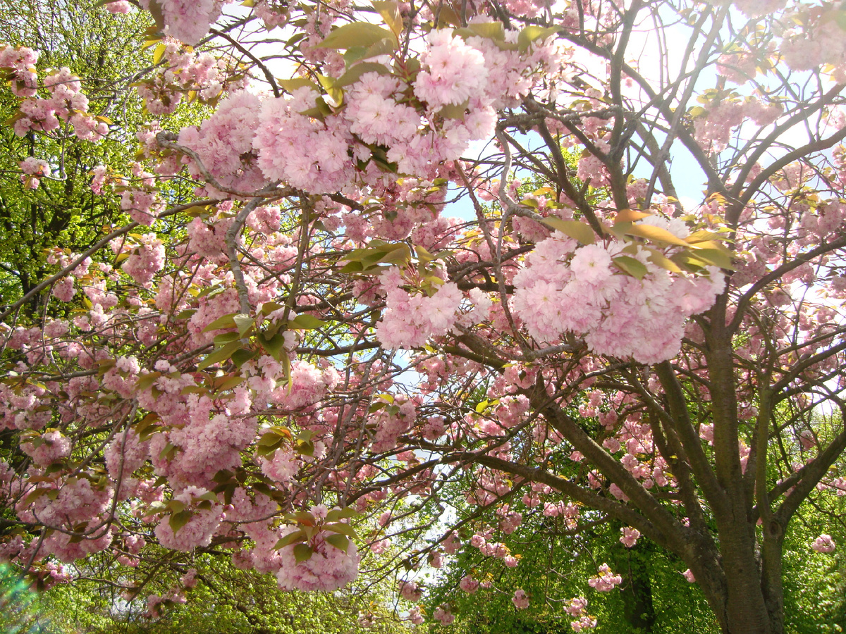Из архива и без фильтров. Весна в одной из европейских столиц 12 лет назад.
