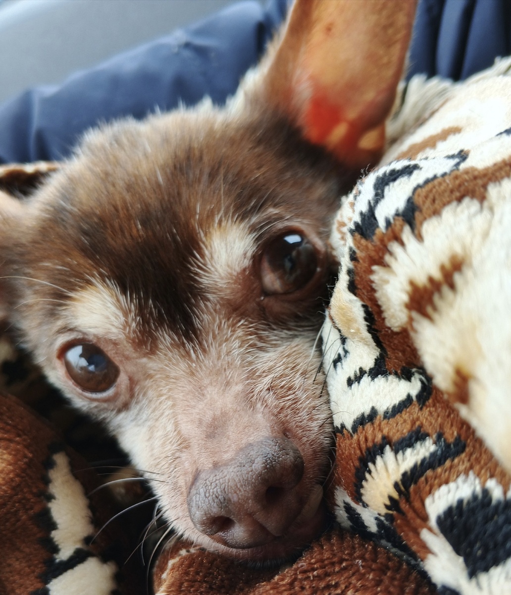 Вот такое чудо.