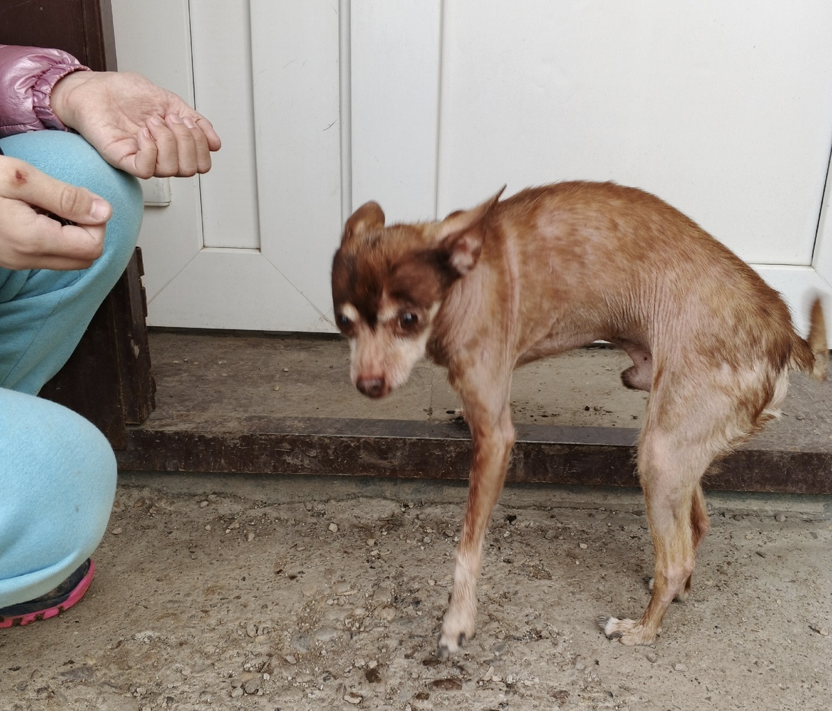 В этом магазине работает Ольга - наш новый волонтёр. Она и подняла шум