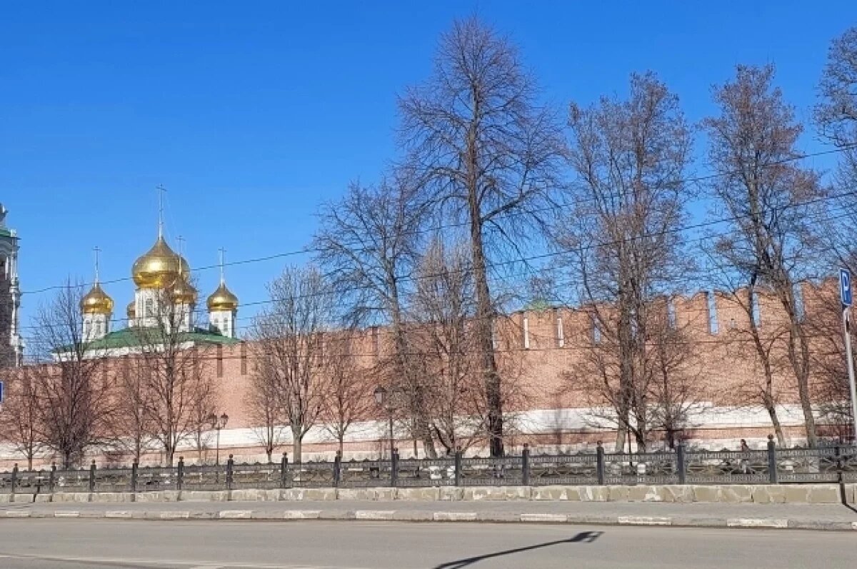    В Туле 19 апреля прогнозируют сильный ветер и до +25