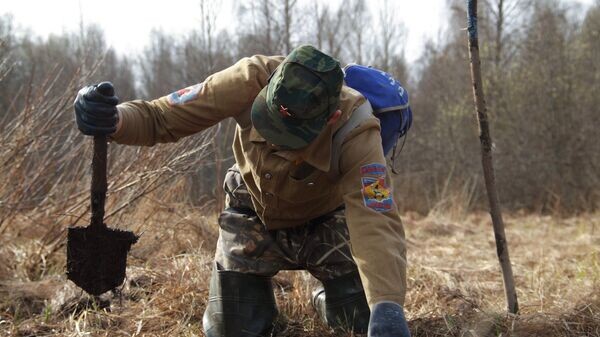    © Sputnik / Константин Чалабов