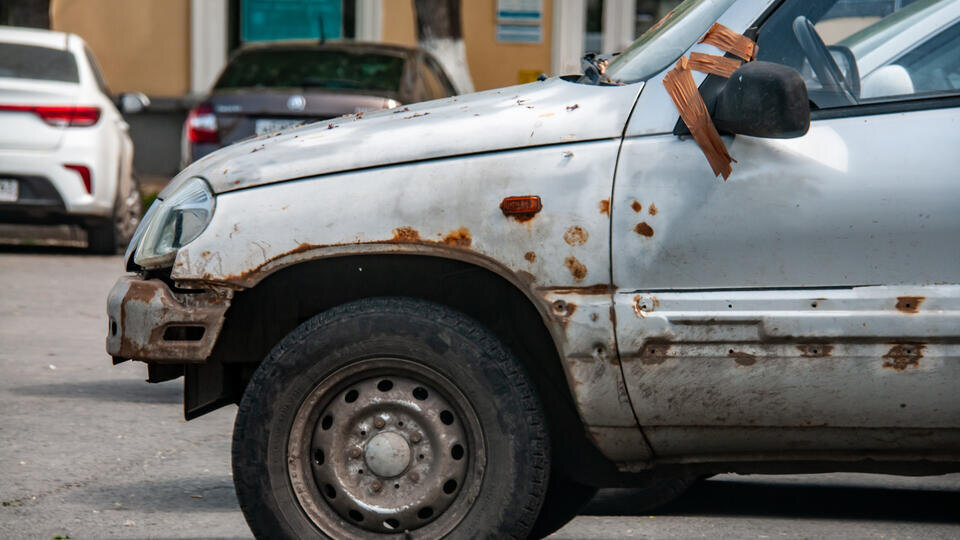 Фото: © www.globallookpress.com/Svetlana Vozmilova/Global Look Press