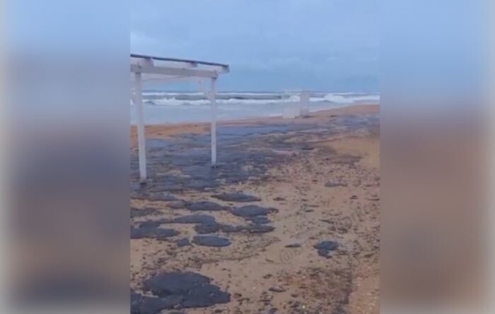 Источник фото: скриншот видео/ телеграм-канал "Краснодар и край"