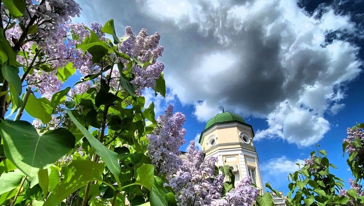     Источник: mkset.ru