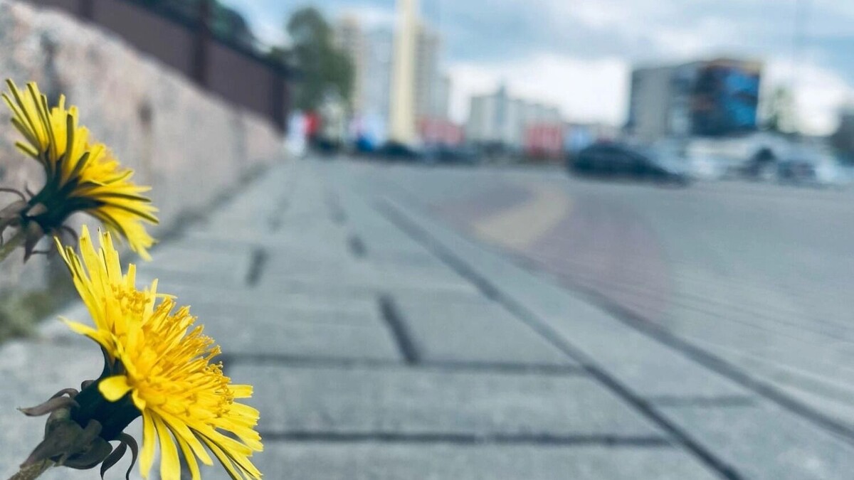     Источник: mkset.ru