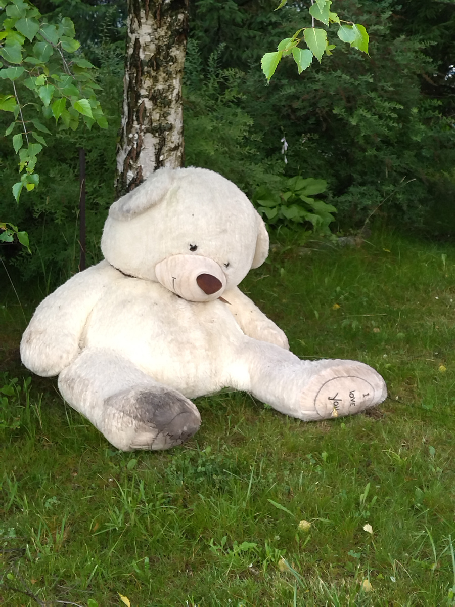 Всегда ваш Travel Bears!