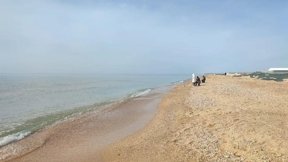 Фото: www.atorus.ru