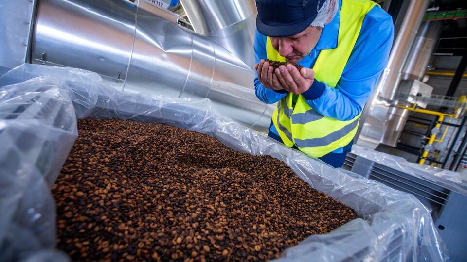 Фото: © www.globallookpress.com/Jens BÃttner/dpa