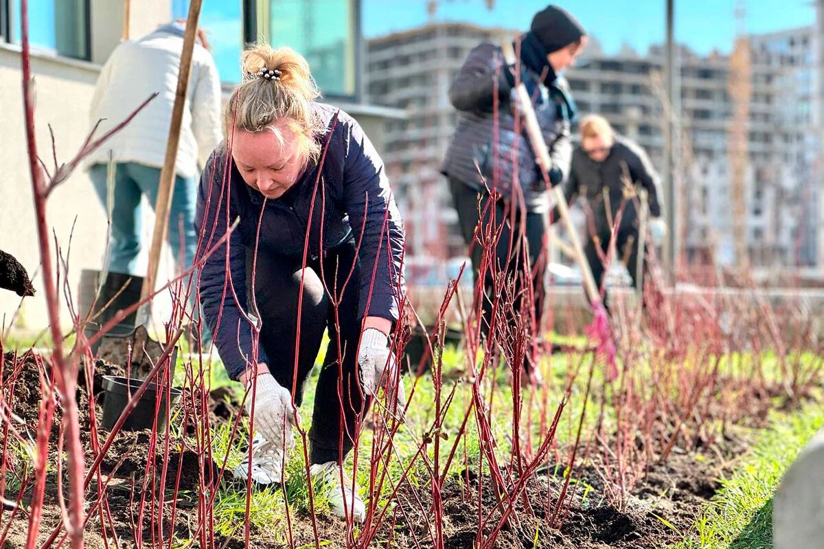    Фото: Мингорисполком