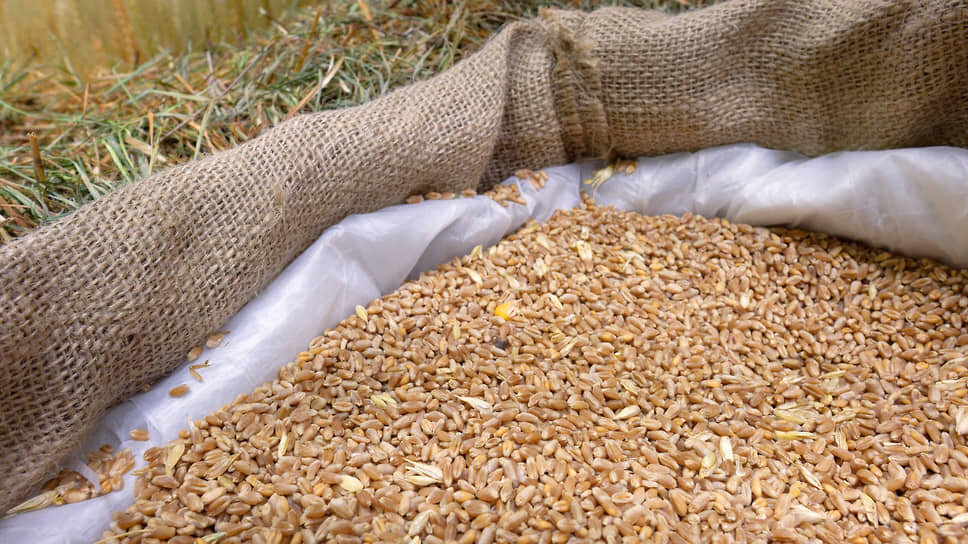 Фото: Алексей Смагин / Коммерсантъ