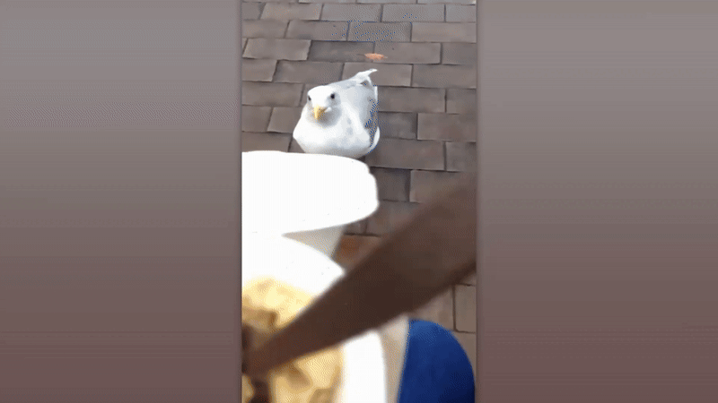 Нравится Формат? Поддержи Канал Лайком