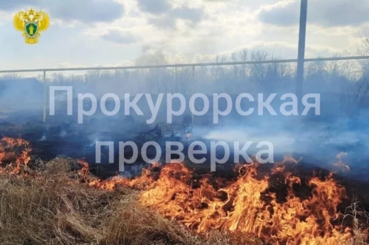    В Туле прокуратура проводит проверку по факту возгораний сухой травы