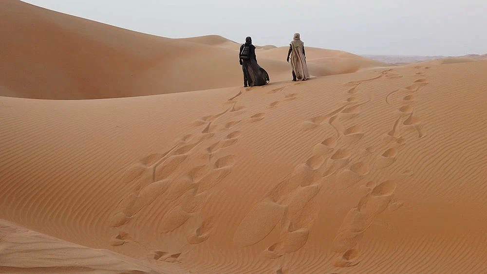 Феномен пустыни в культуре и искусстве. Фото из свобдных источников