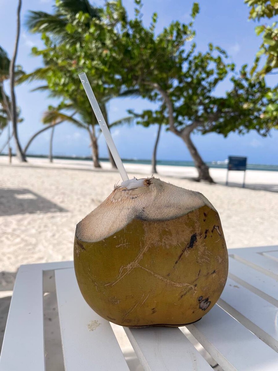 «Планета Лета»