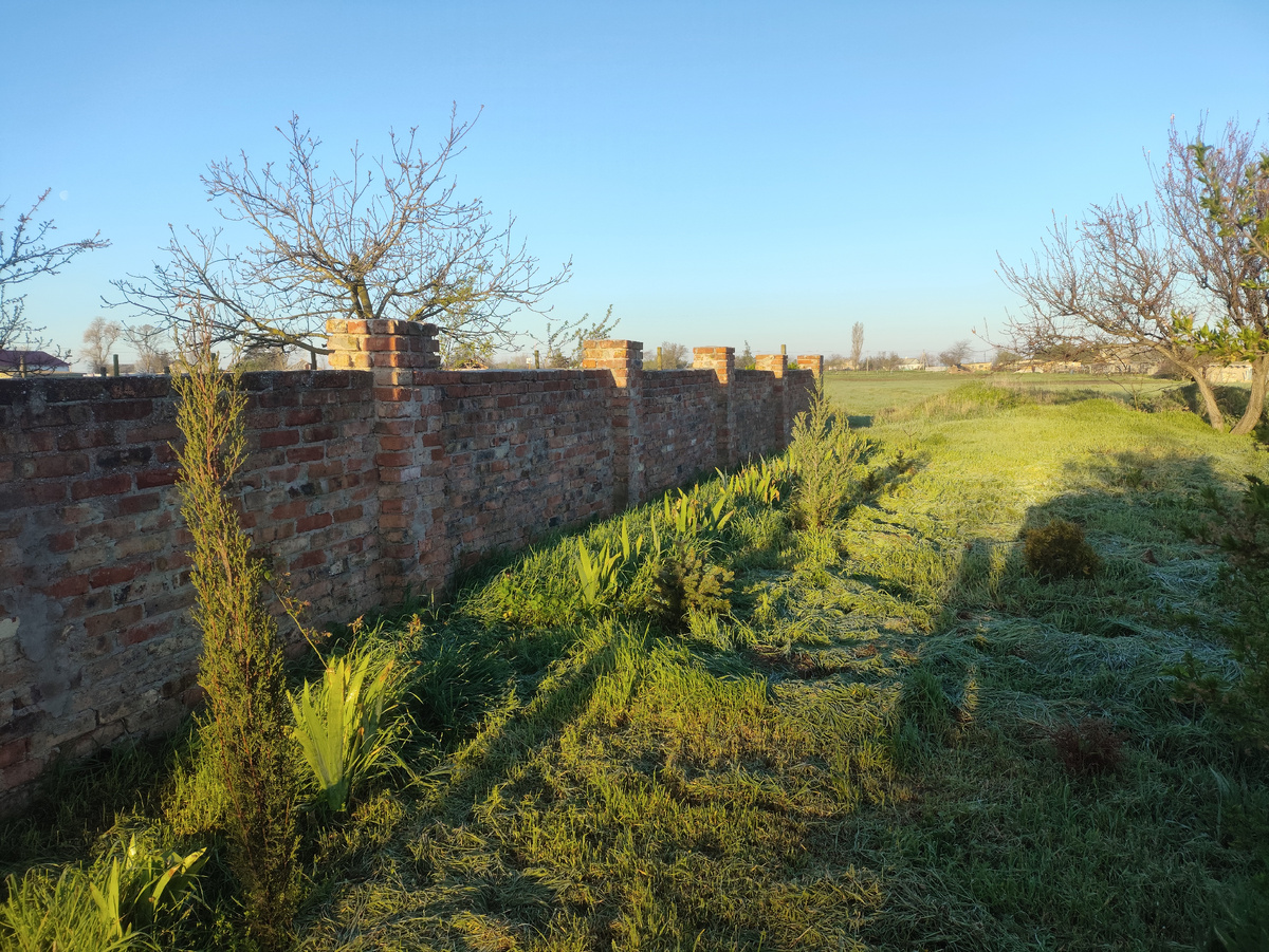 Пока машину выгоняла и ворота закрывала...