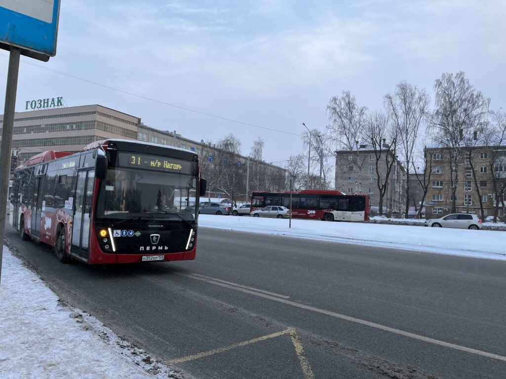    Фото: В курсе.ру Алена Калашникова