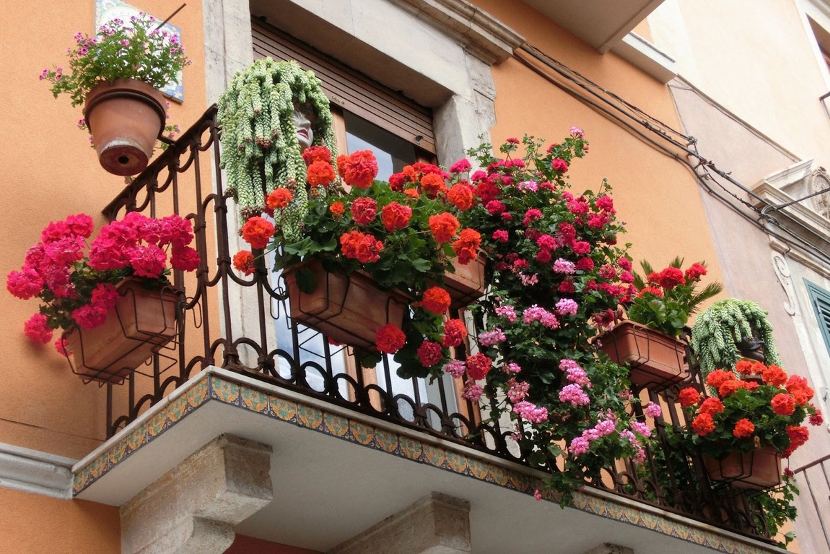 Фото: Marina113 / iStockphoto.com