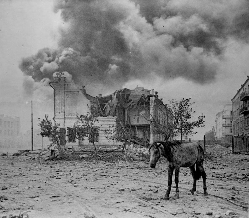 Автор: Яков Рюмкин. 1943 г. Лошадь на одной из улиц разрушенного Сталинграда