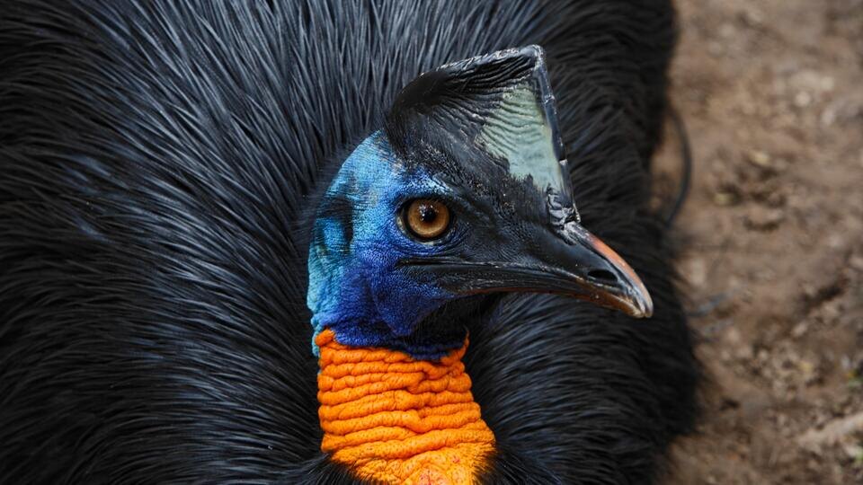 Фото: © www.globallookpress.com/ROM/imageBROKER.com