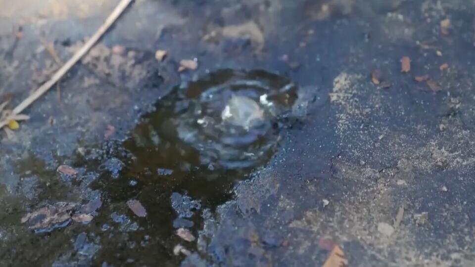 Фото: © Кадр из программы "Невероятно интересные истории", РЕН ТВ