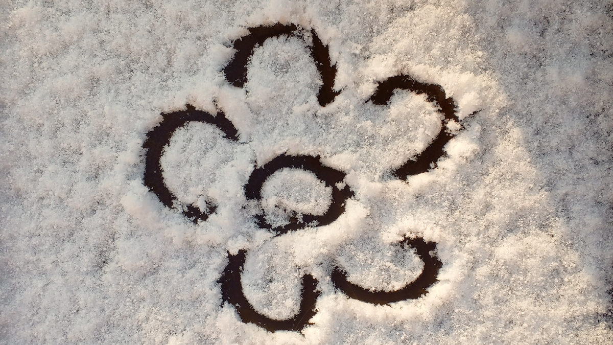 Ну чем ни ромашка?