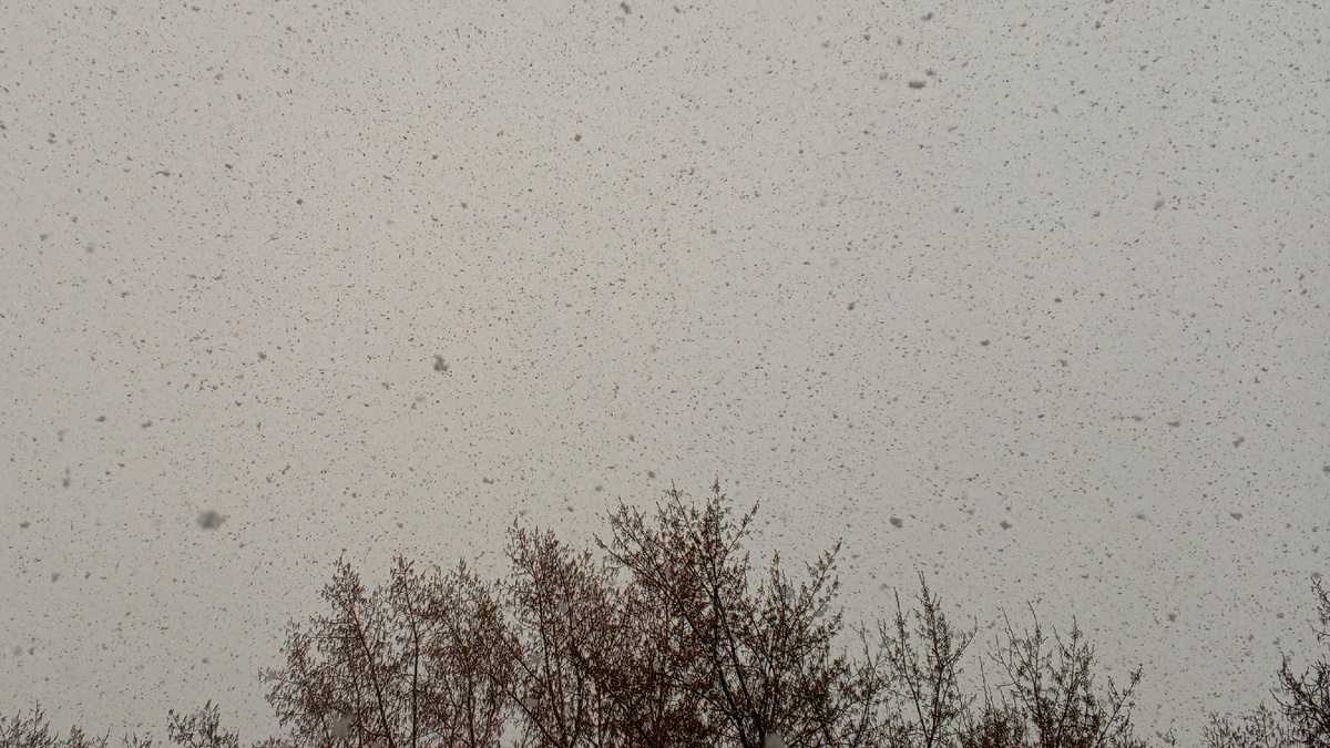 Над городом летаю, город снегом засыпаю!!!