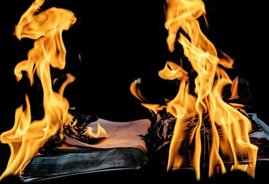 ФОТО Marek Studzinski on Unsplash