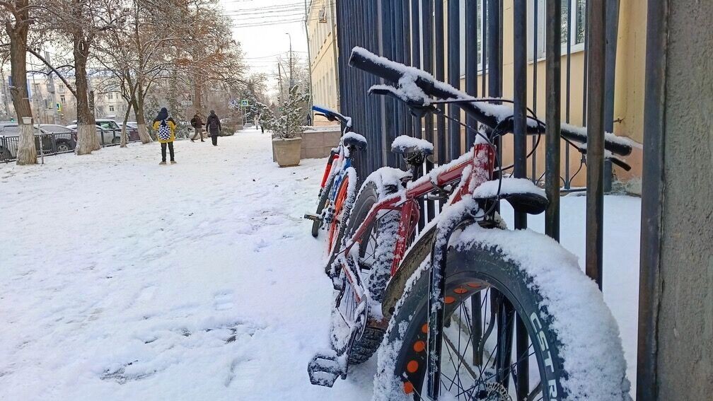     Источник: 1MI