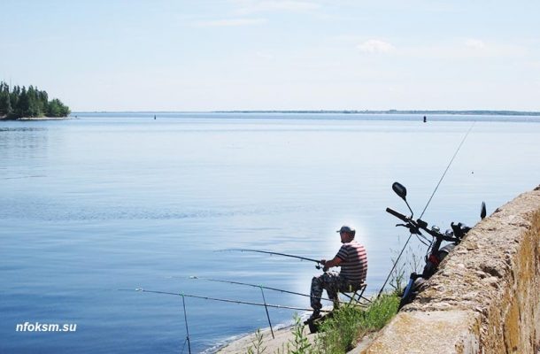    Рыбалка в Камышине