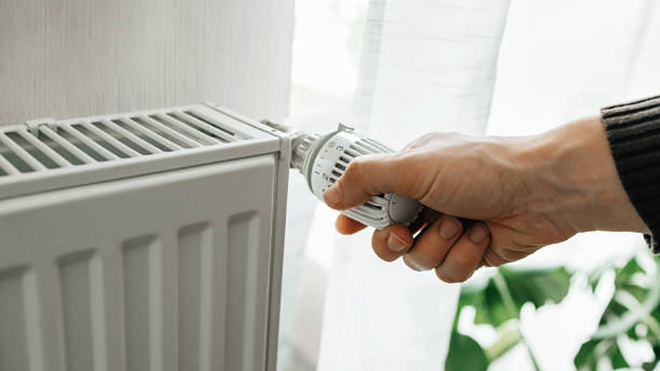 Фото: администрация Гатчинского округа