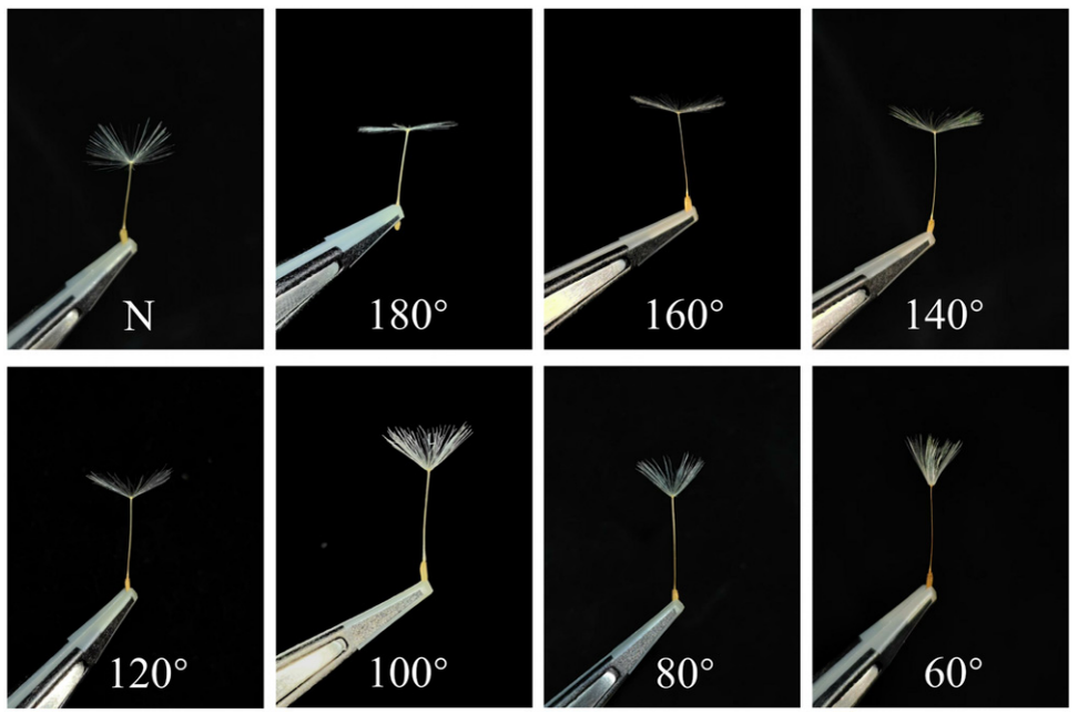   Yang He et al. / Physics of Fluids, 2025