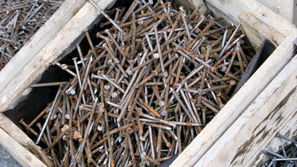 Фото: © Александр Рюмин/ТАСС