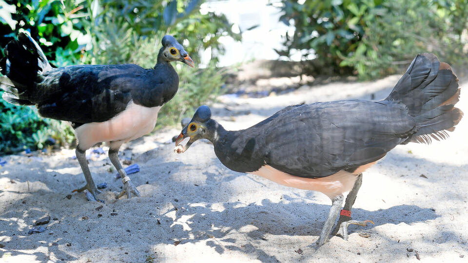 Фото: © www.globallookpress.com/Holger Hollemann/dpa