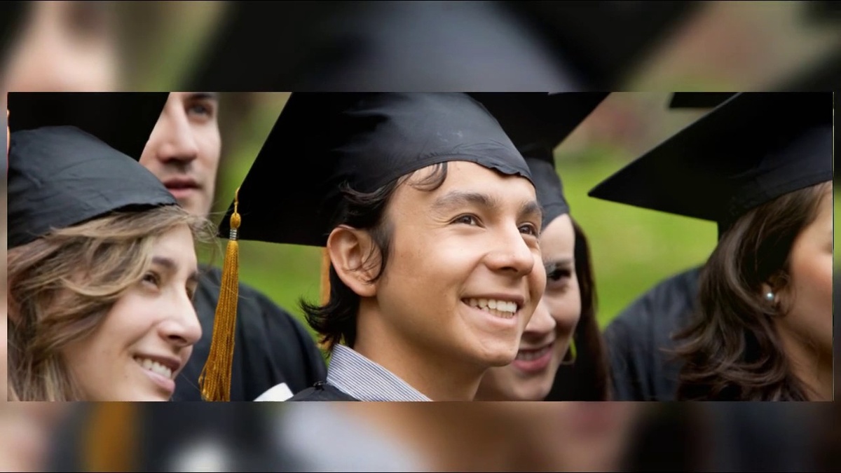    Вуз или пауза: как выбрать правильный путь