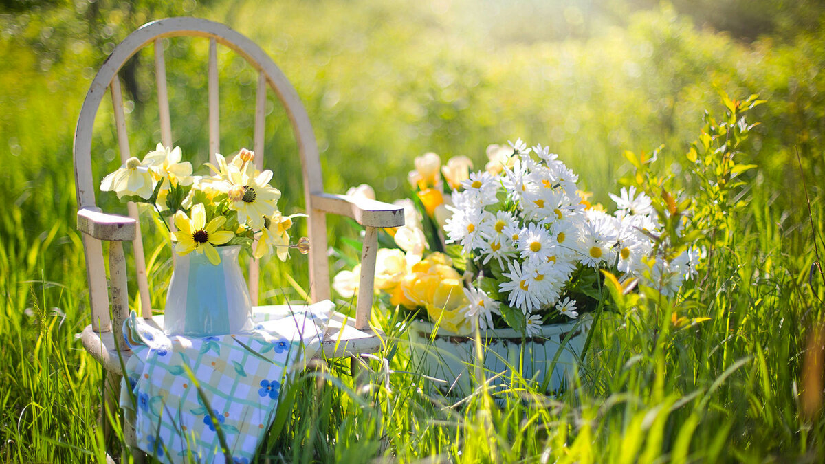 Фото: pixabay.com