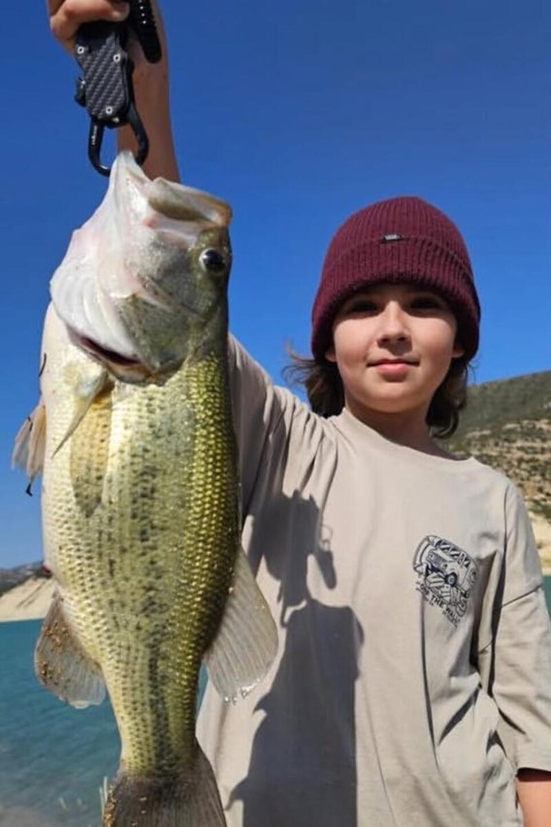    Гарри Галкин Соцсети