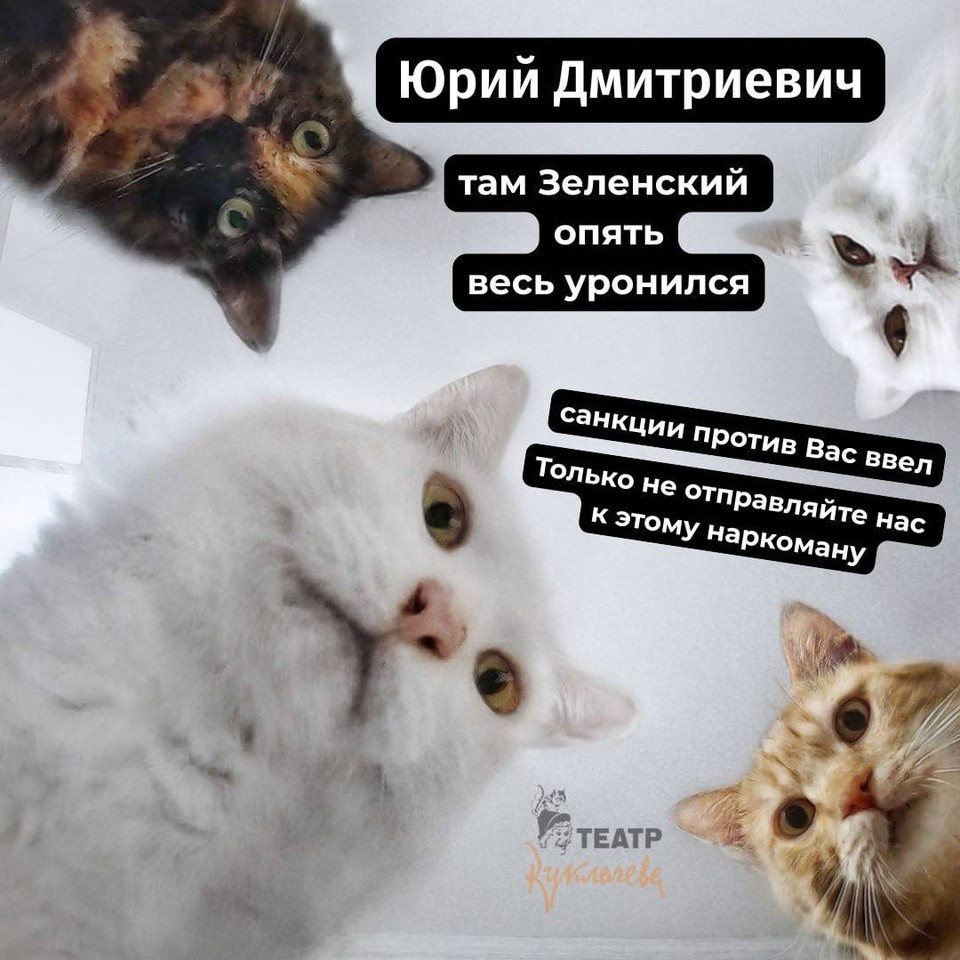    Захарова опубликовала мем с котами на тему санкций Украины против Куклачёва, фото: телеграм-канал Марии Захаровой