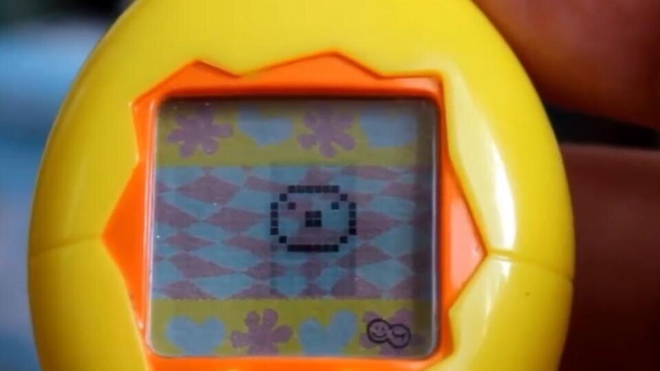 Фото: © Кадр из программы "Как устроен мир", РЕН ТВ