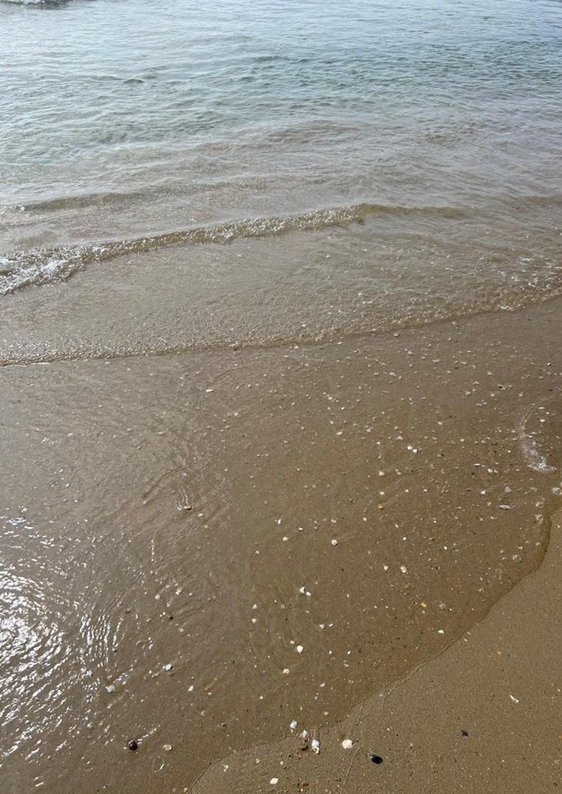 Черное море в Анапе