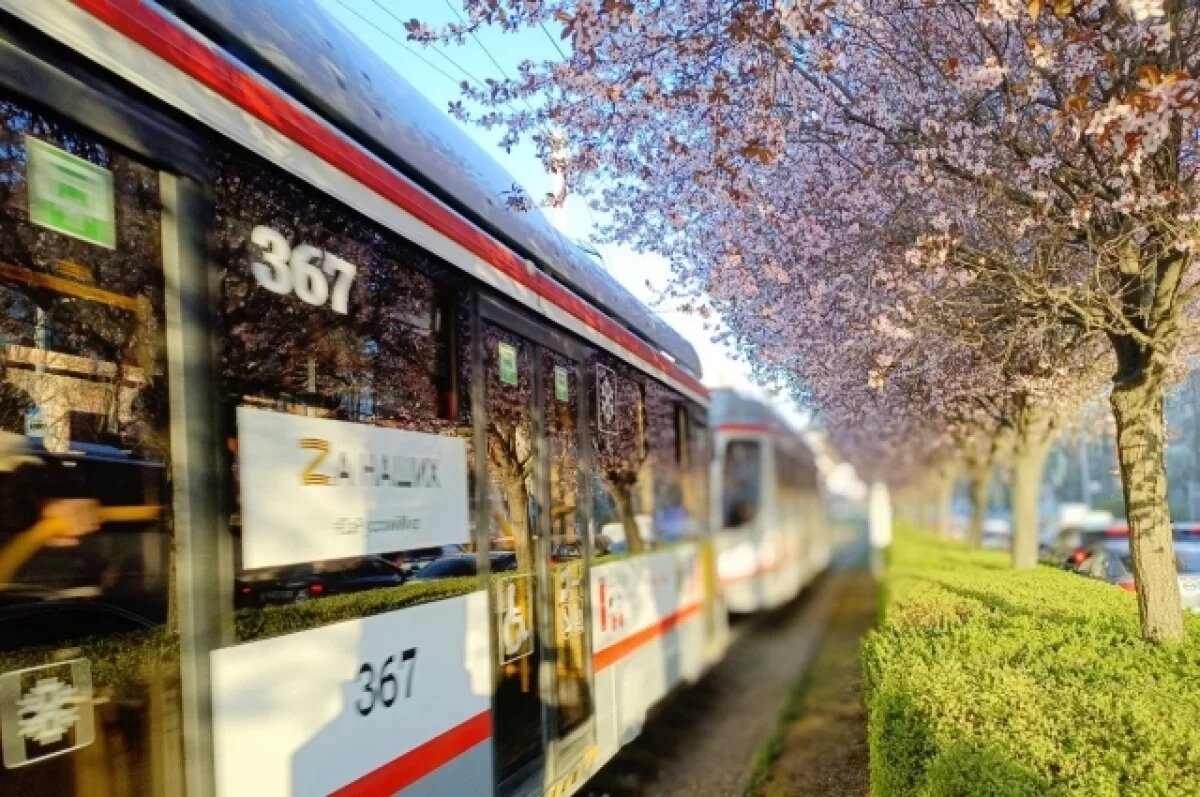    В Краснодаре временно изменятся вечерние рейсы трех трамваев