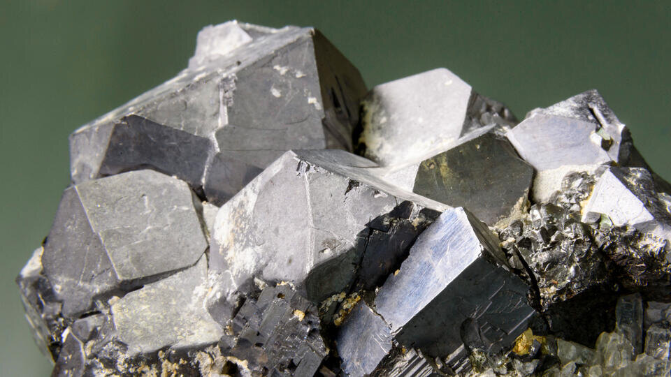 Фото: © EPA/Peter Komka/TASS