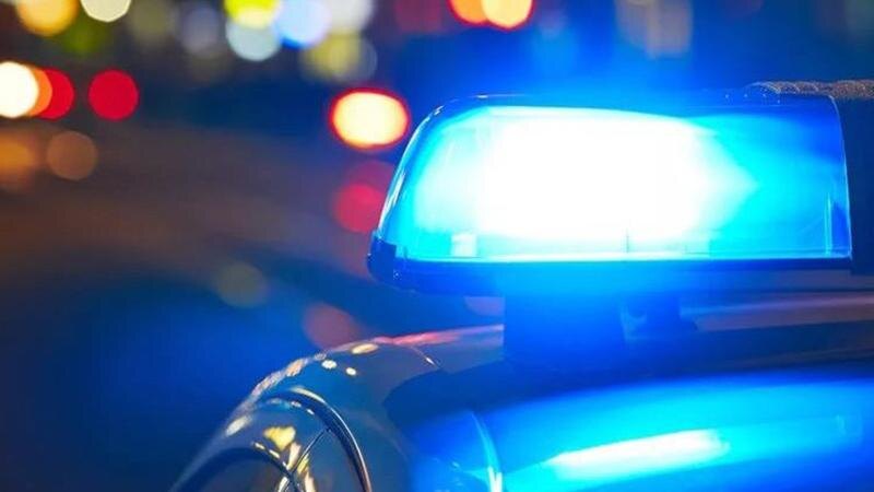    Фото: pxhere.com