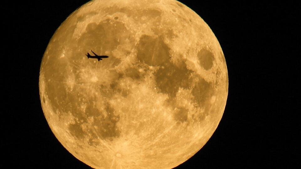 Фото: © РИА Новости/Максим Блинов