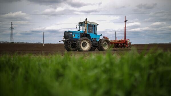    © Sputnik / Виталий Тимкив