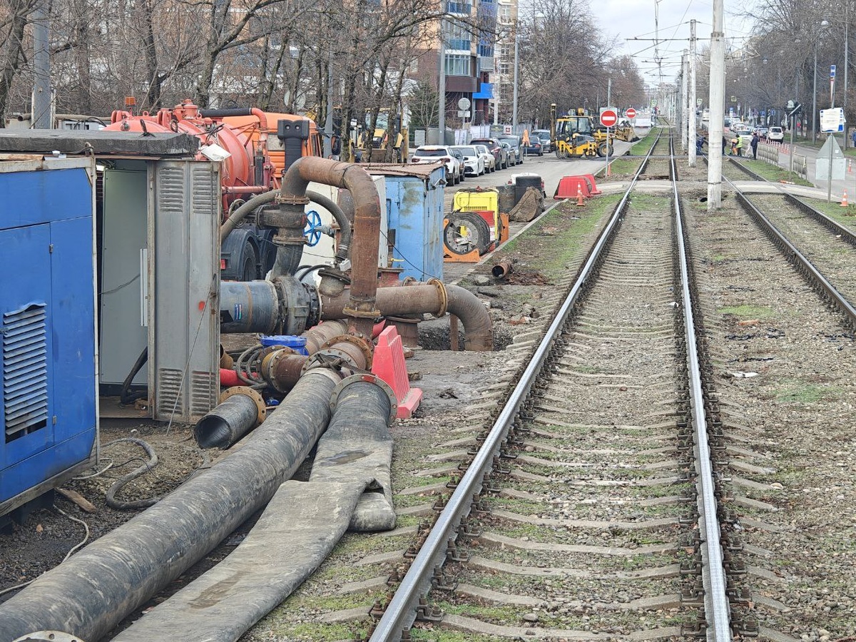    Фото: Юрий Серебренников/BFM Кубань