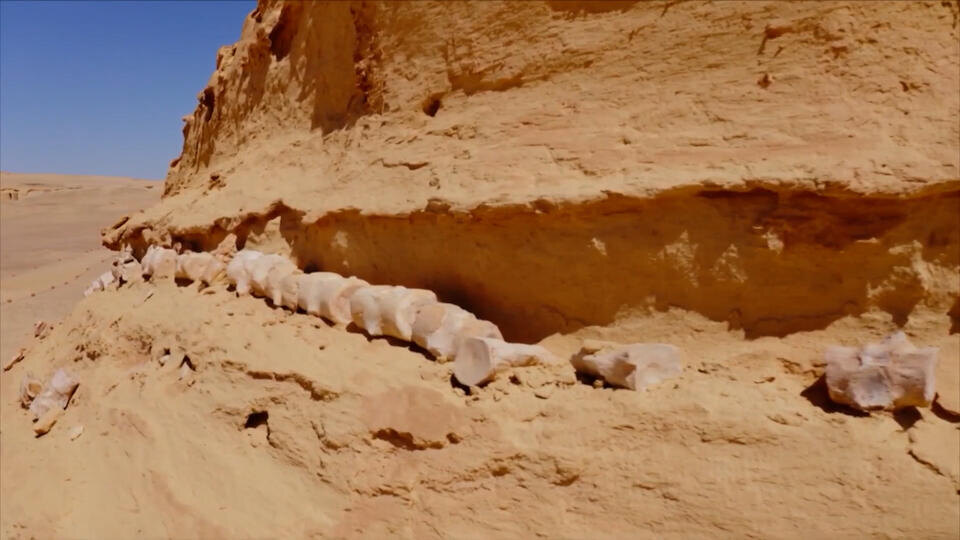 Фото: © Кадр из программы "Загадки человечества", РЕН ТВ